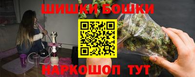 сатива Можга