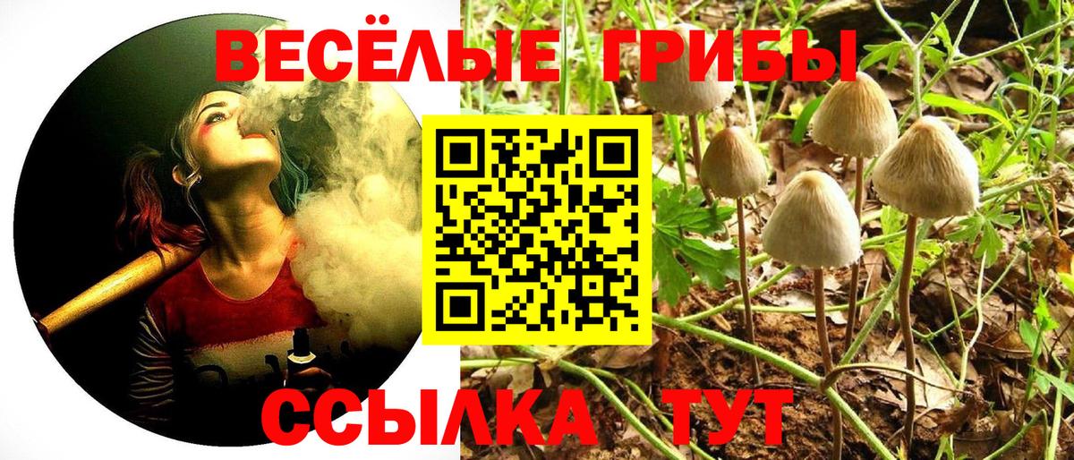 Псилоцибиновые грибы GOLDEN TEACHER Черняховск