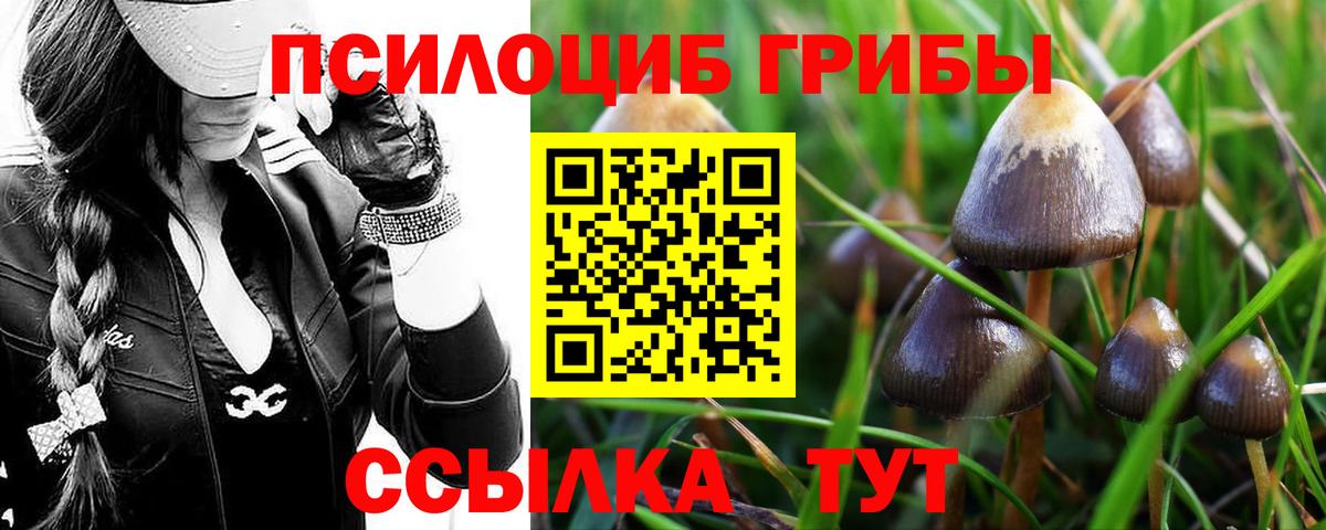 Псилоцибиновые грибы ЛСД  Псилоцибиновые грибы прущие грибы  Черняховск  Вход с VPN 